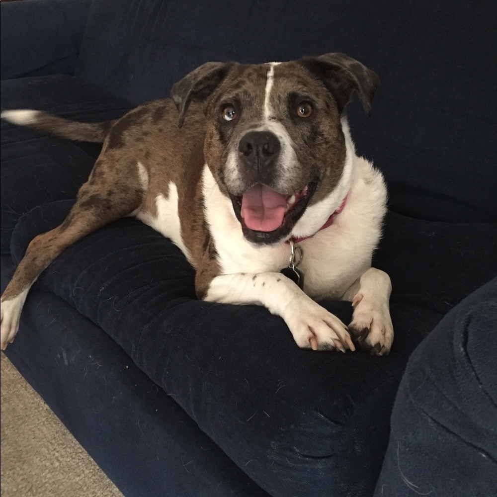 Meet your Posher, Brittany